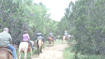 Wild Catter Trucking Event May 2015