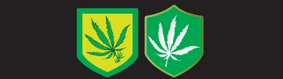 Marijuana Legalization: DOT to Audit Drug-Testing Policies