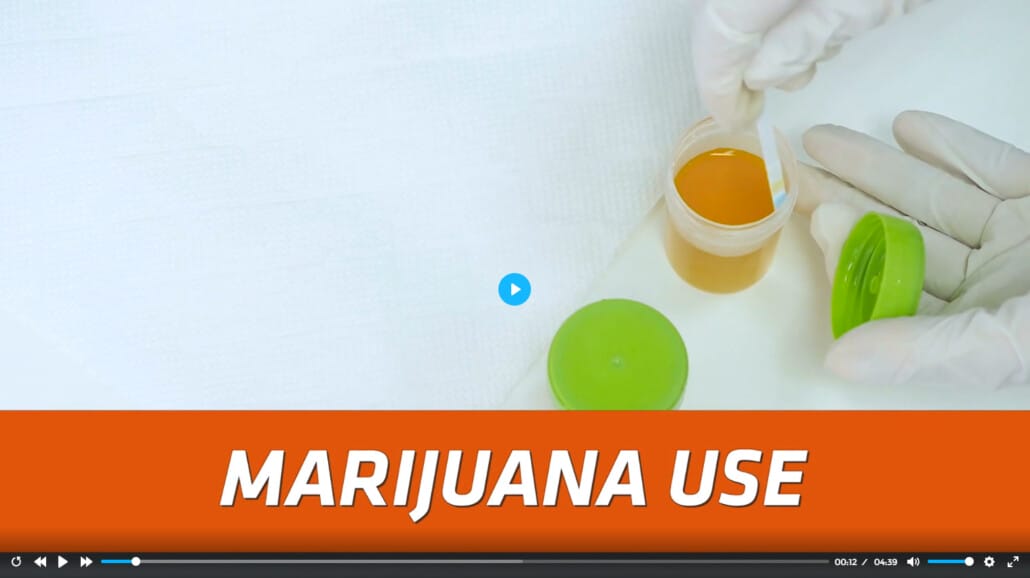 DOT Drug Test Procedures Marijuana Use