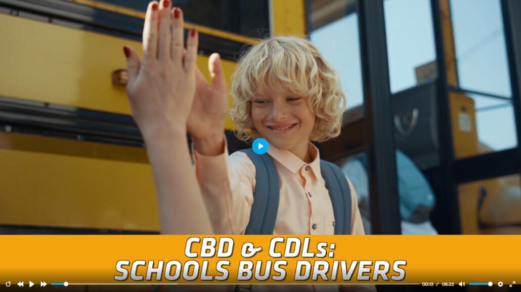School Bus - CBD and CDLs