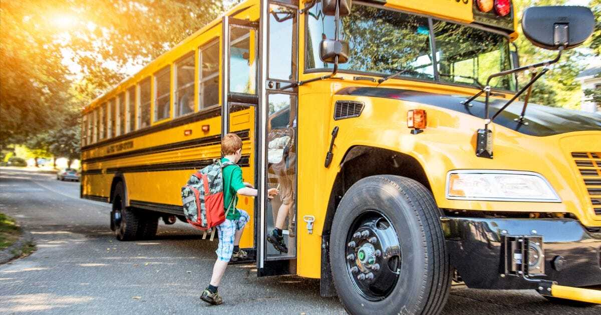 Safety Training For School Bus Drivers | Infinit-I Workforce